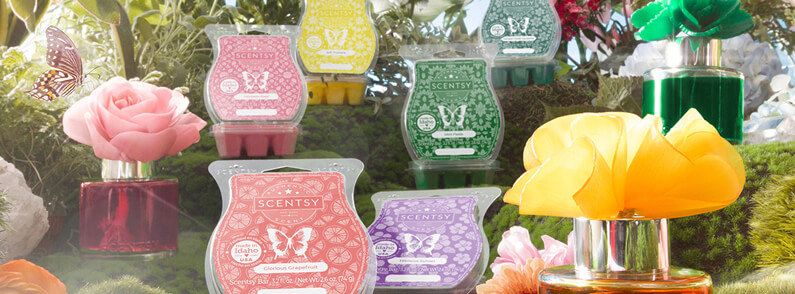 Happiness Blooms Collection