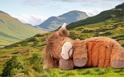 Hamish the Highland Cow Weighted & Warming Scentsy Buddy