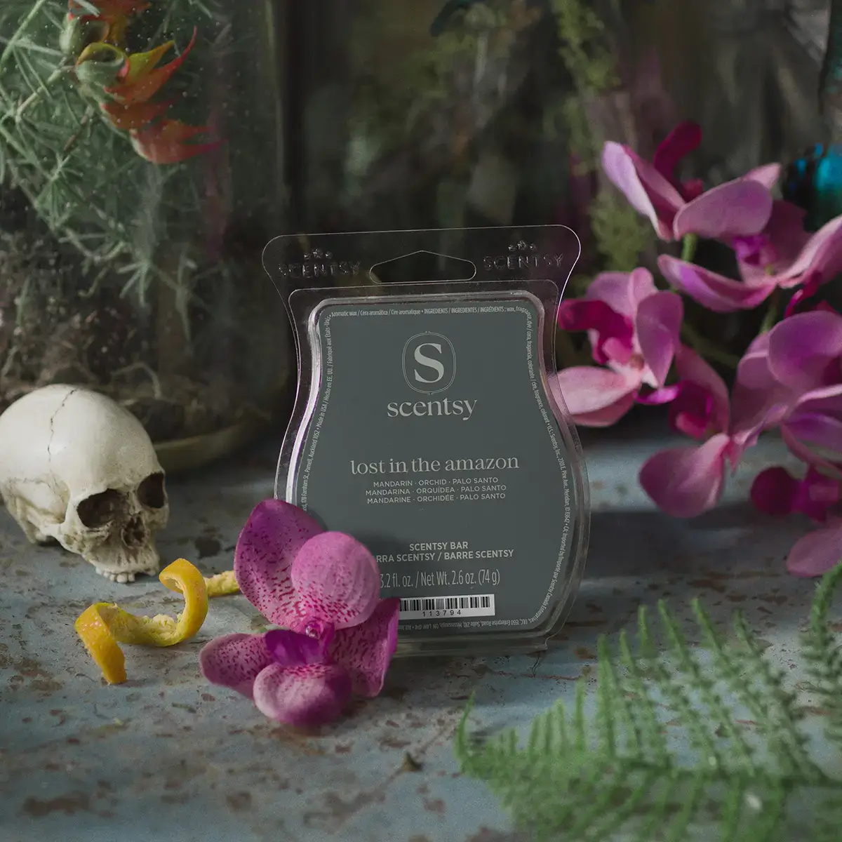 Halloween Lost In The Amazon Scentsy Bar